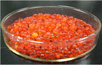 吸附后 wszl_23.gif